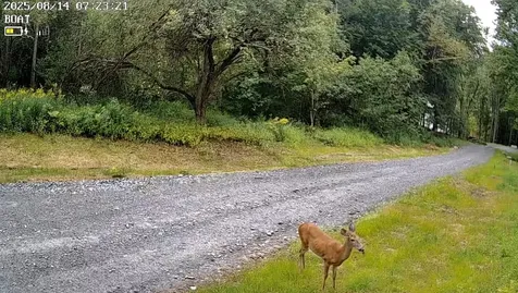 9768 Vt Route 36 Fairfield VT 05455