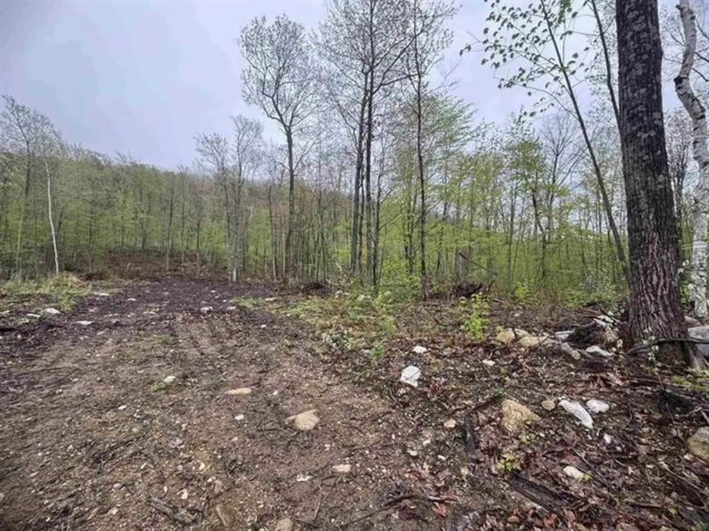 000 Upper Plains Road Salisbury VT 05769