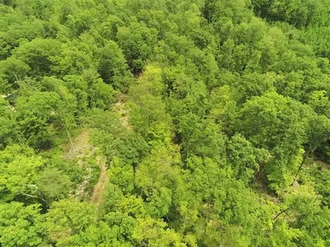 000 Upper Plains Road Salisbury VT 05769