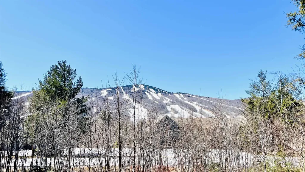 49D Greenspring Road Dover VT 05356