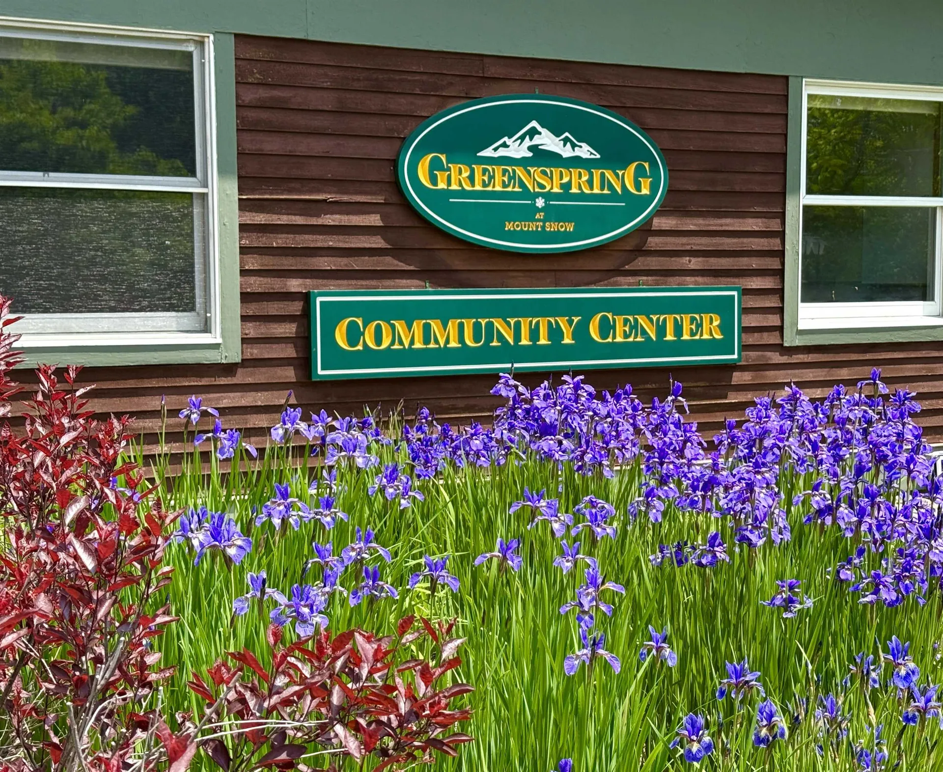 49D Greenspring Road Dover VT 05356