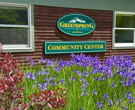 49D Greenspring Road Dover VT 05356