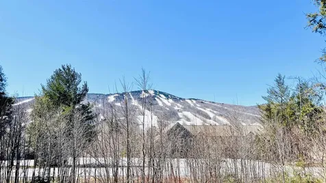 49D Greenspring Road Dover VT 05356