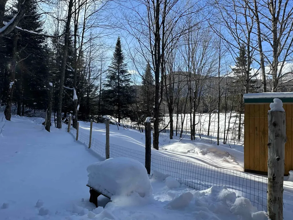 9 Dry Pond Road Glover VT 05839