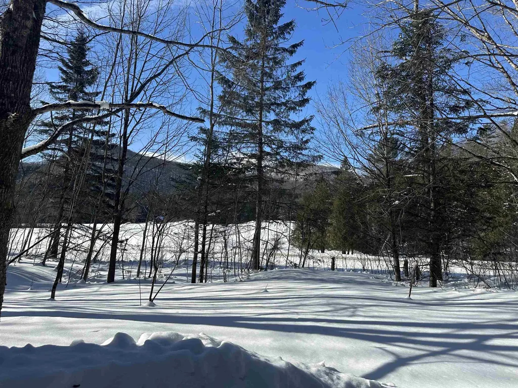 9 Dry Pond Road Glover VT 05839