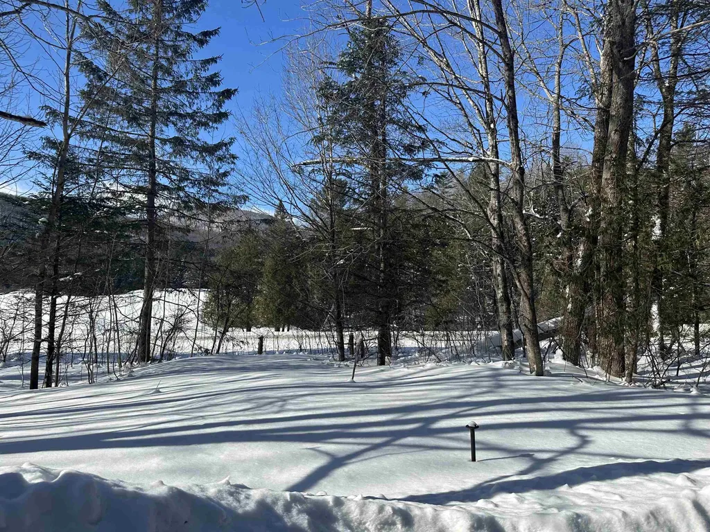 9 Dry Pond Road Glover VT 05839