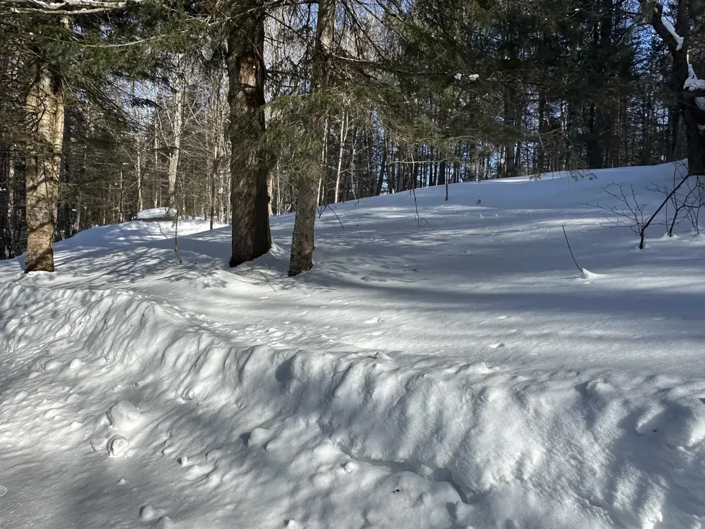 9 Dry Pond Road Glover VT 05839