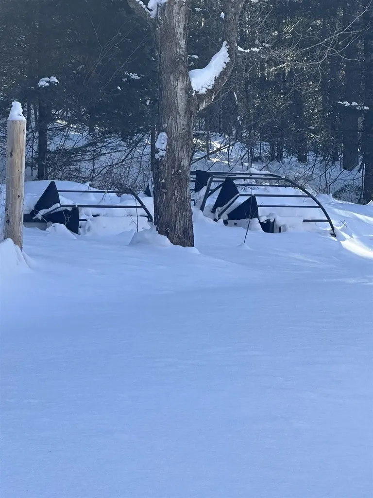 9 Dry Pond Road Glover VT 05839