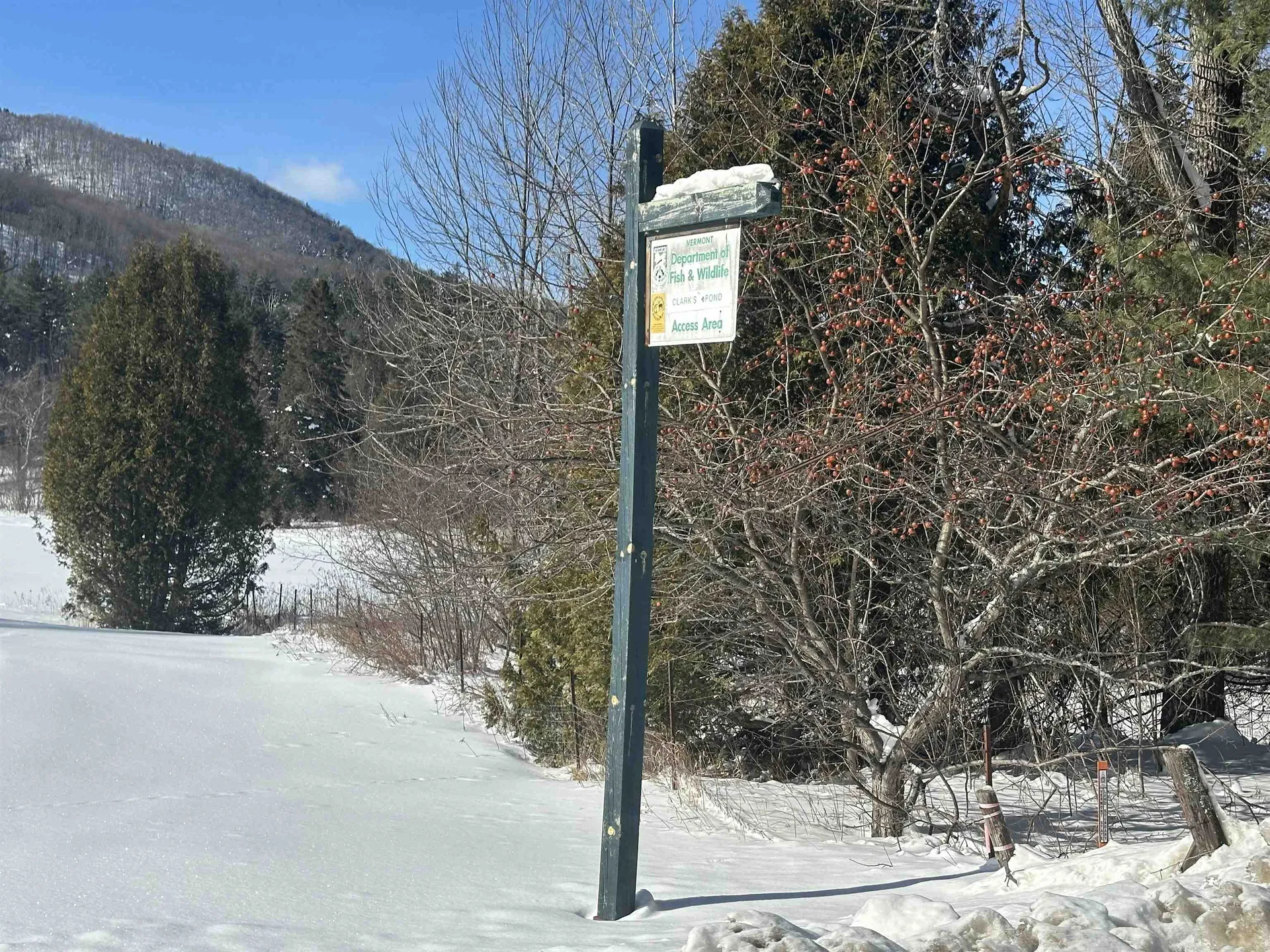 9 Dry Pond Road Glover VT 05839