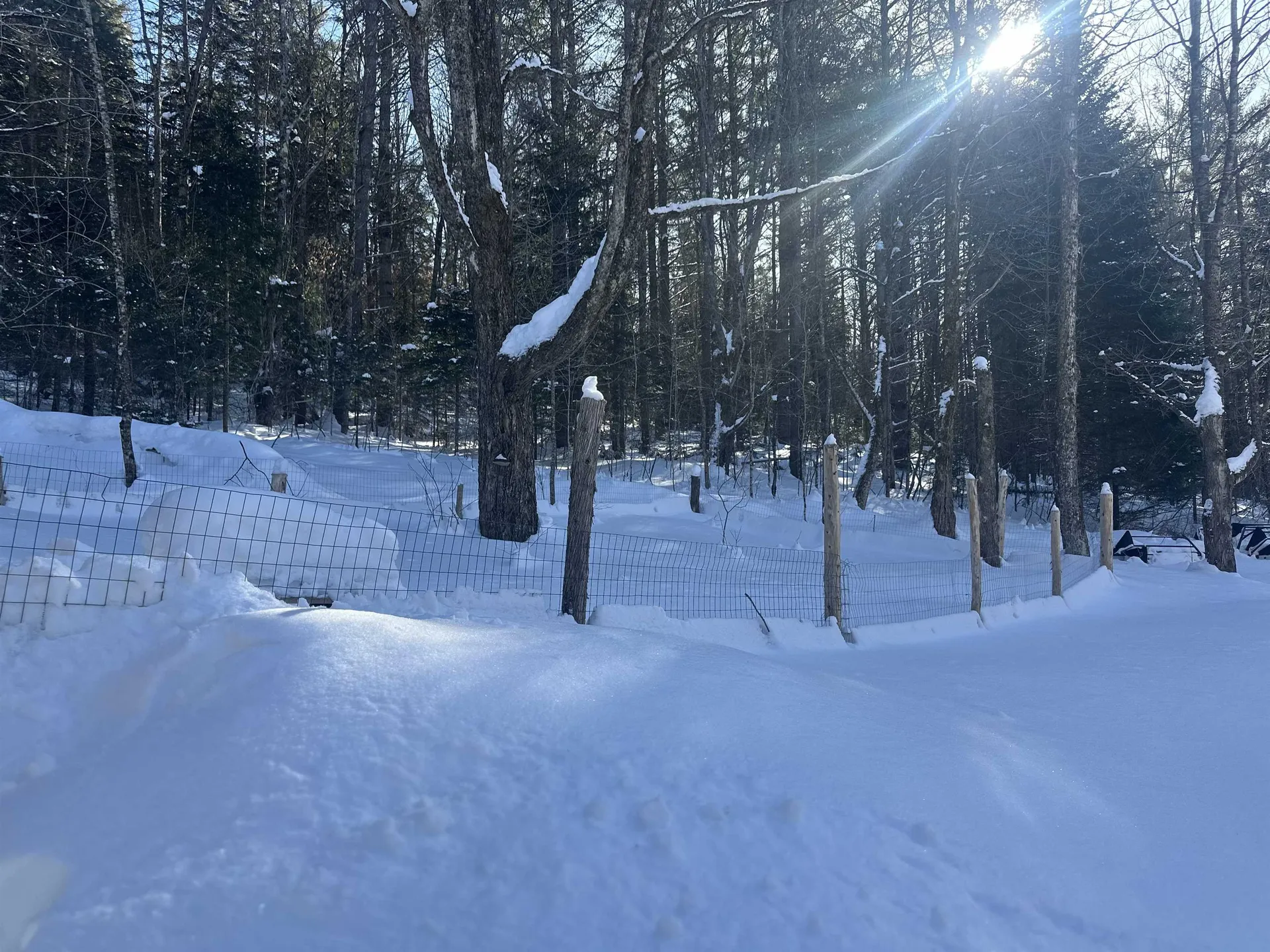 9 Dry Pond Road Glover VT 05839