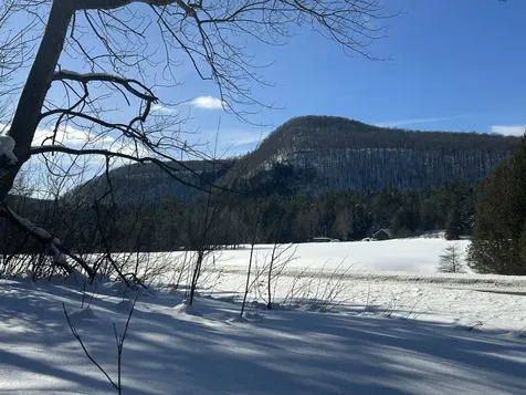 9 Dry Pond Road Glover VT 05839