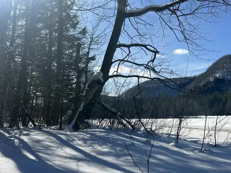 9 Dry Pond Road Glover VT 05839