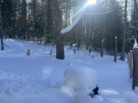 9 Dry Pond Road Glover VT 05839