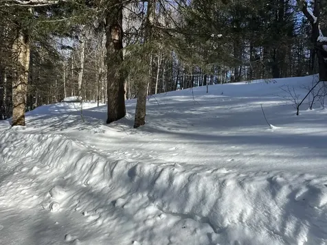 9 Dry Pond Road Glover VT 05839