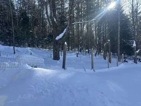 9 Dry Pond Road Glover VT 05839