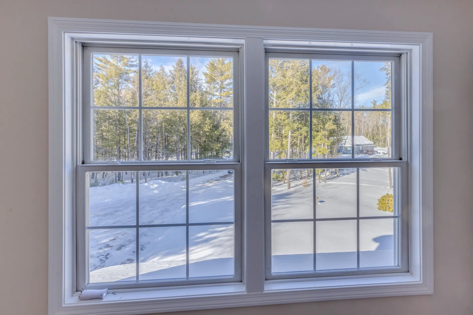 82 Jenness Hill Road Bristol NH 03222