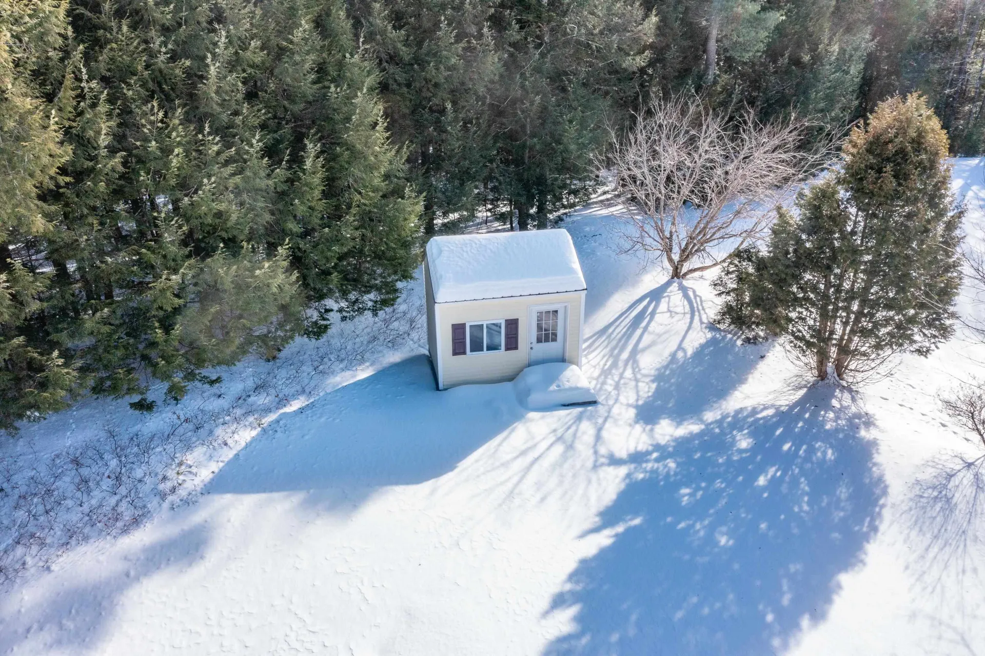 82 Jenness Hill Road Bristol NH 03222