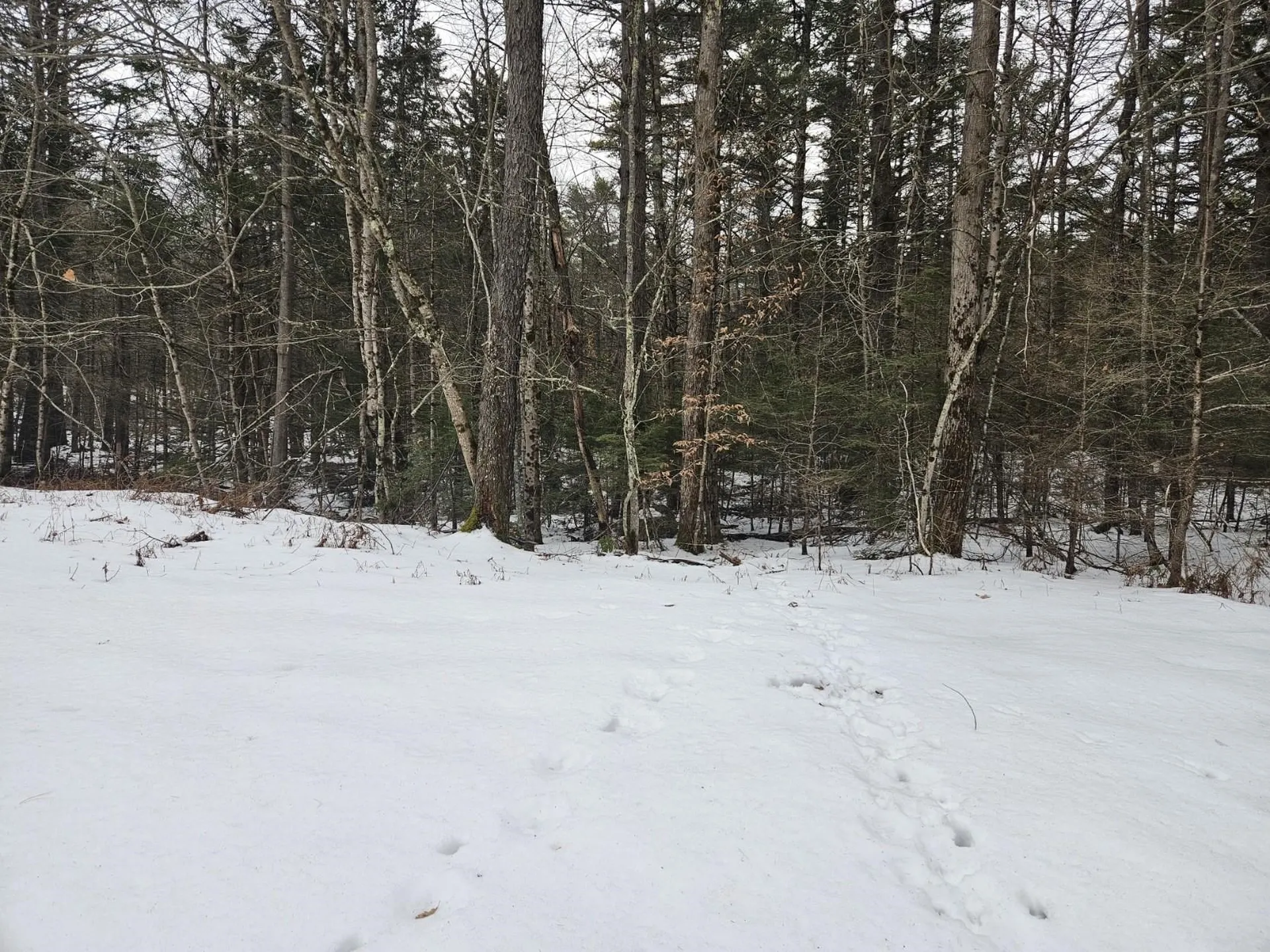 518 Main Street Rindge NH 03461