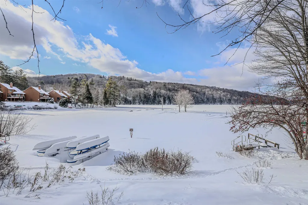 840 Cove Drive Grantham NH 03753