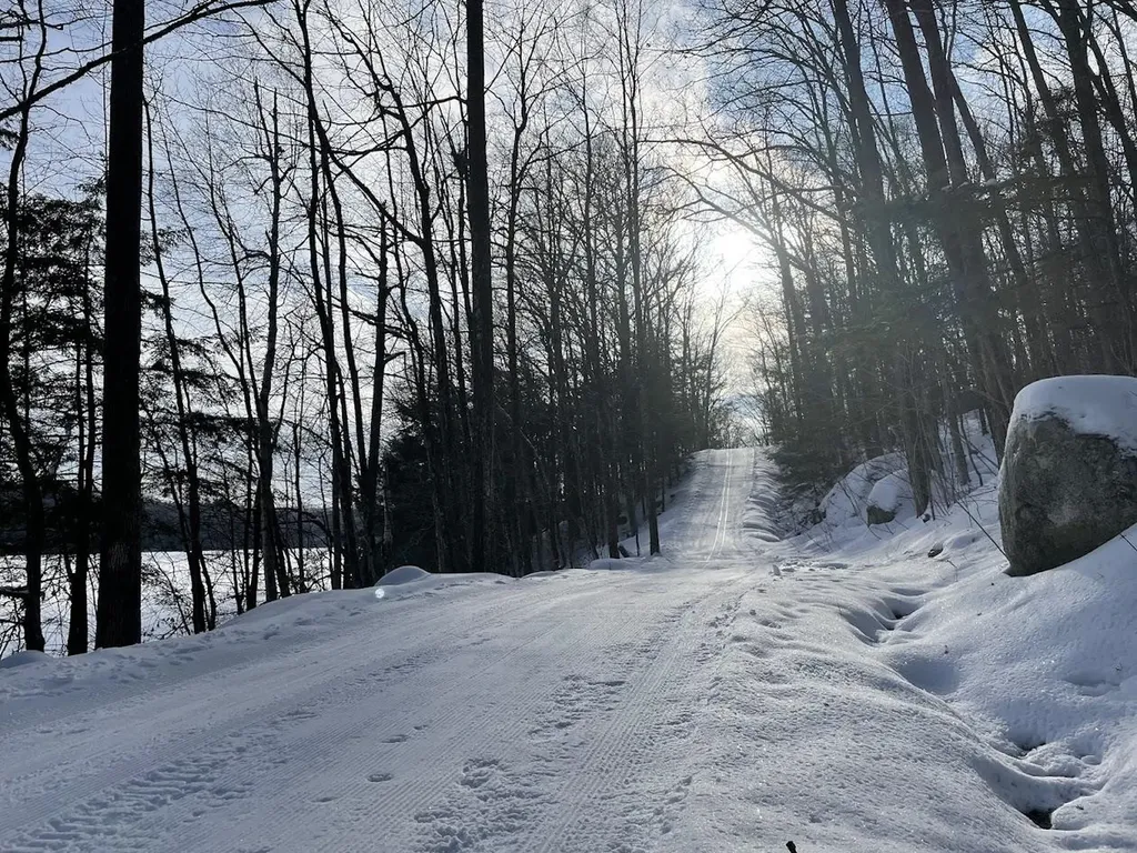 840 Cove Drive Grantham NH 03753