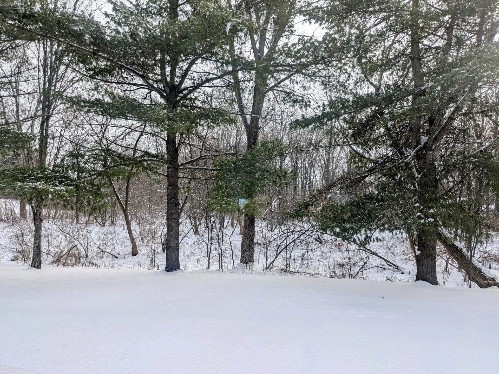 35 Brickyard Road Essex Junction VT 05452