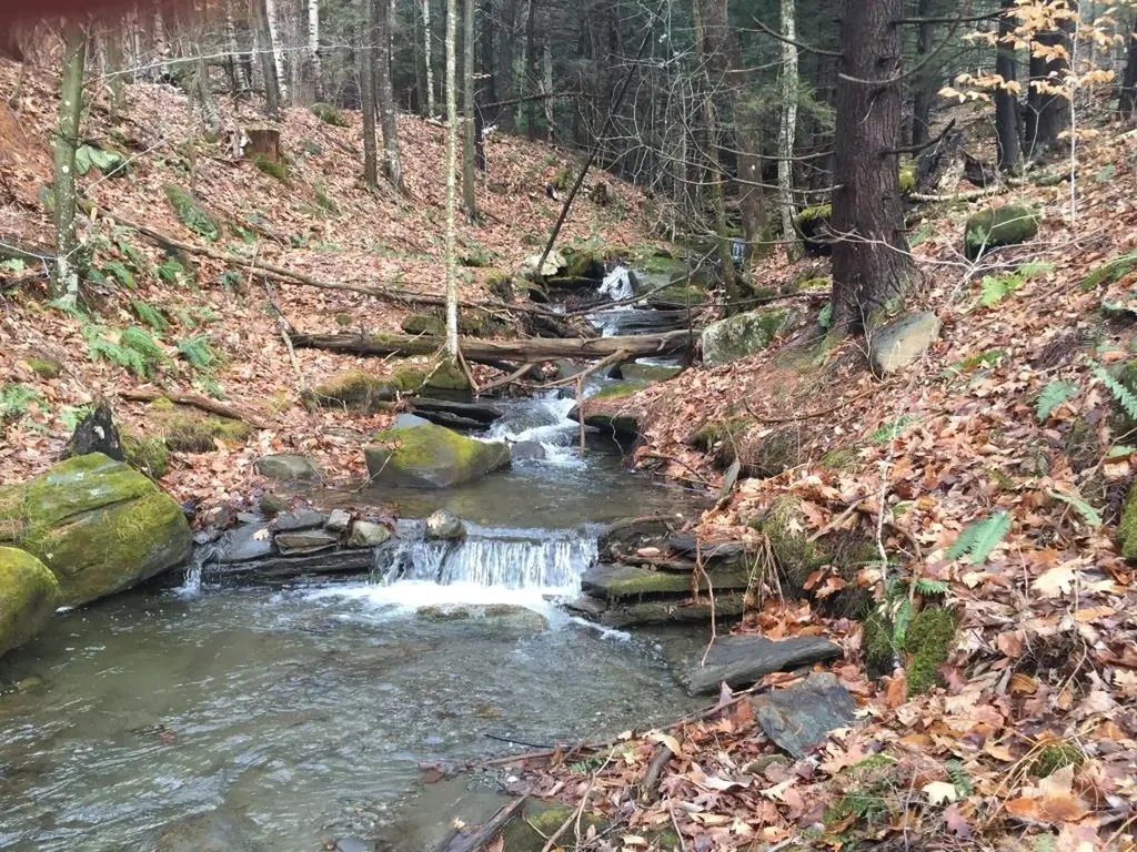 90 Reading Farms Road Reading VT 05062