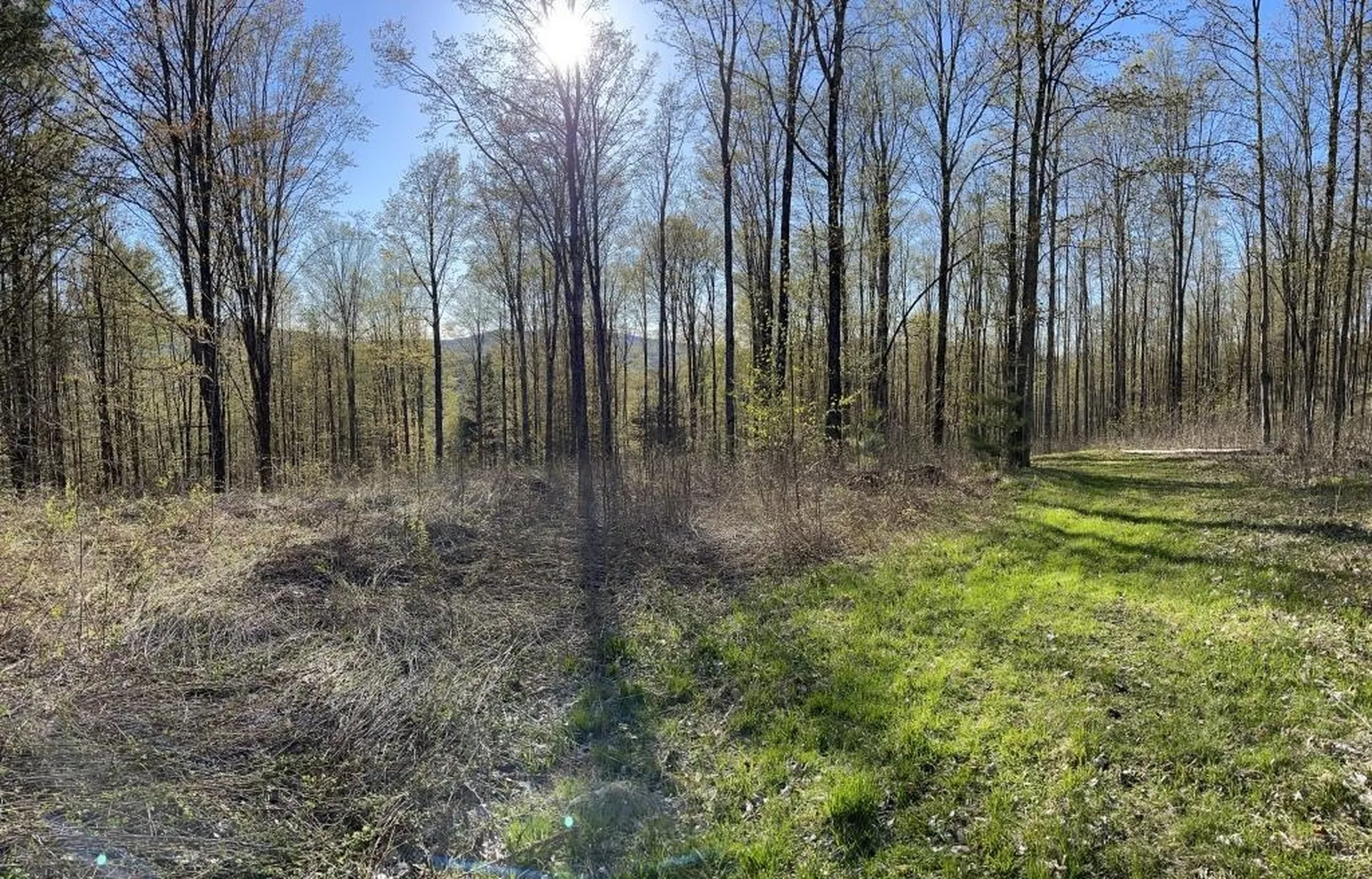 90 Reading Farms Road Reading VT 05062