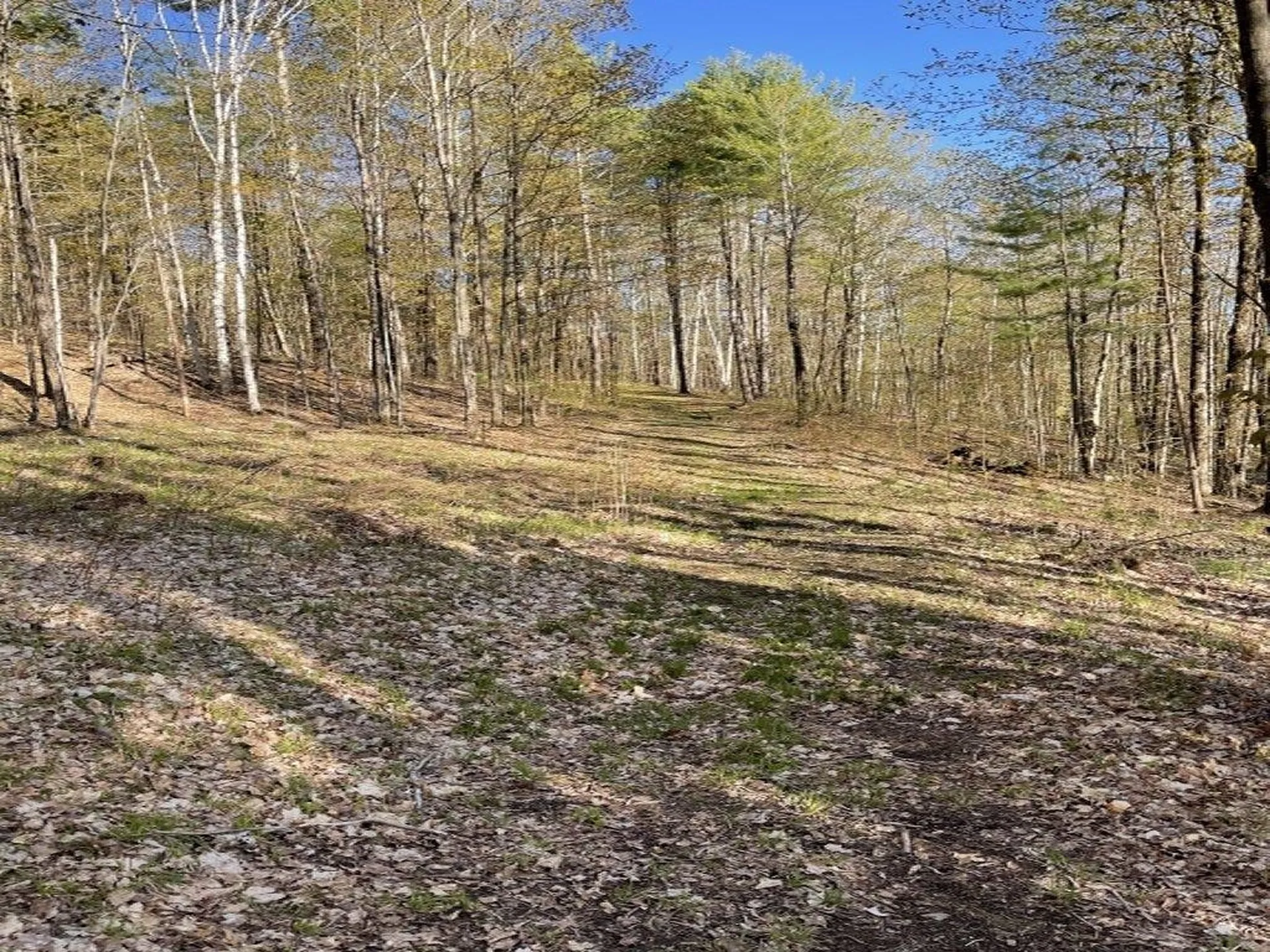 90 Reading Farms Road Reading VT 05062