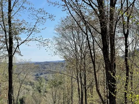 90 Reading Farms Road Reading VT 05062