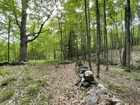 90 Reading Farms Road Reading VT 05062