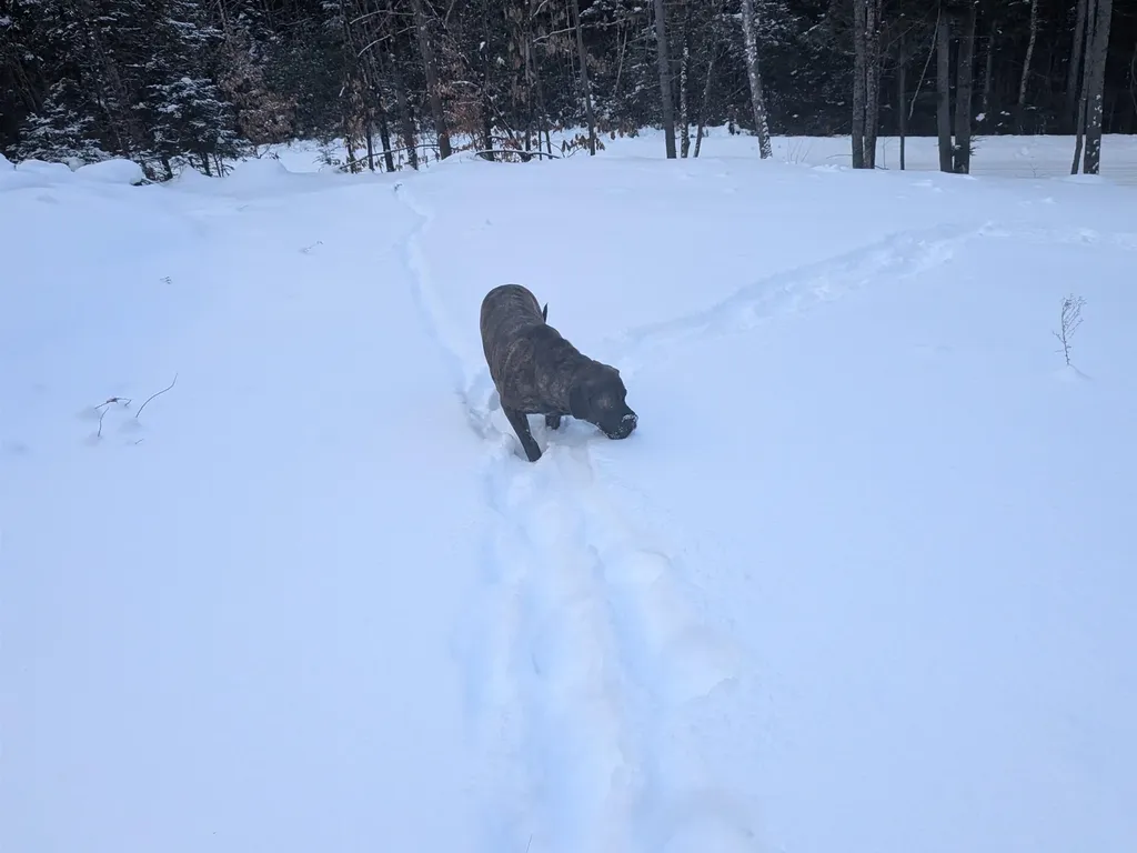 111 Swiftwater Circle Haverhill NH 03765-4413