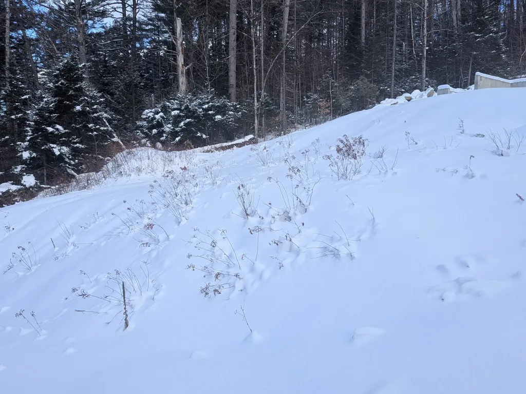 111 Swiftwater Circle Haverhill NH 03765-4413