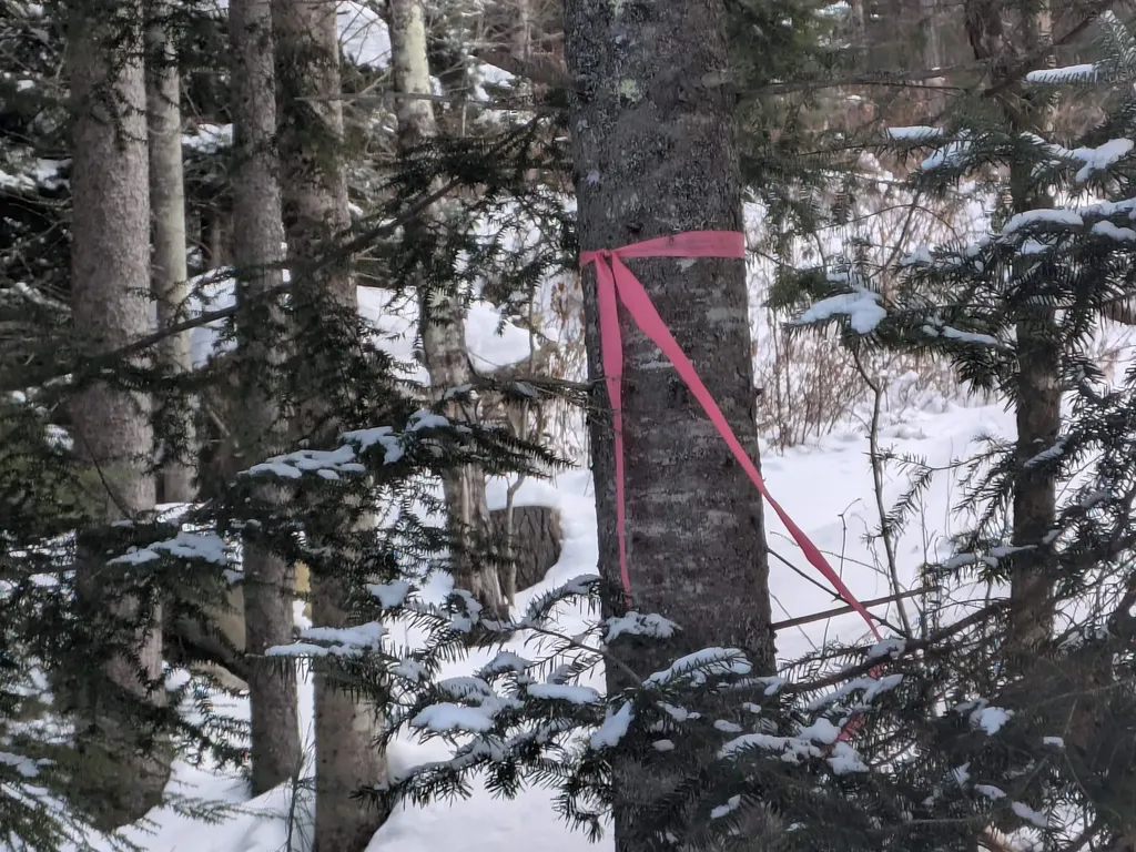 111 Swiftwater Circle Haverhill NH 03765-4413