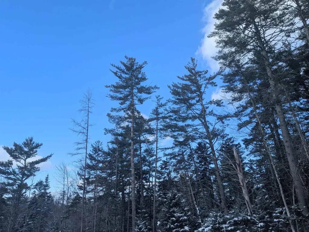 111 Swiftwater Circle Haverhill NH 03765-4413