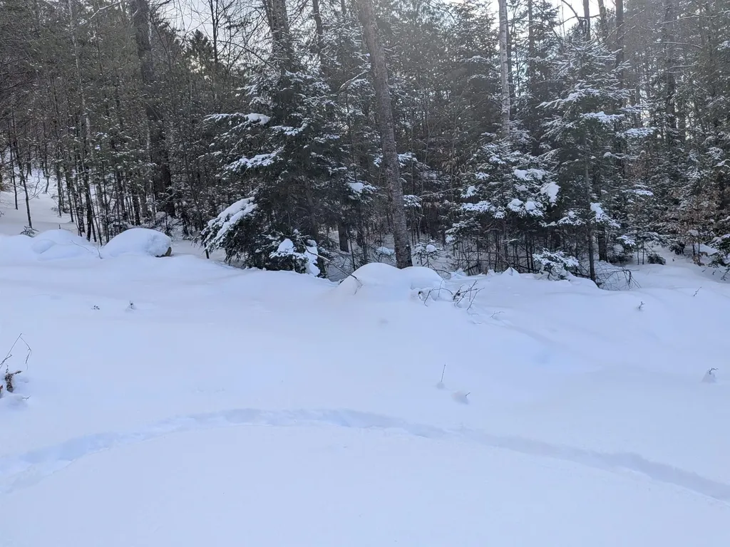 111 Swiftwater Circle Haverhill NH 03765-4413