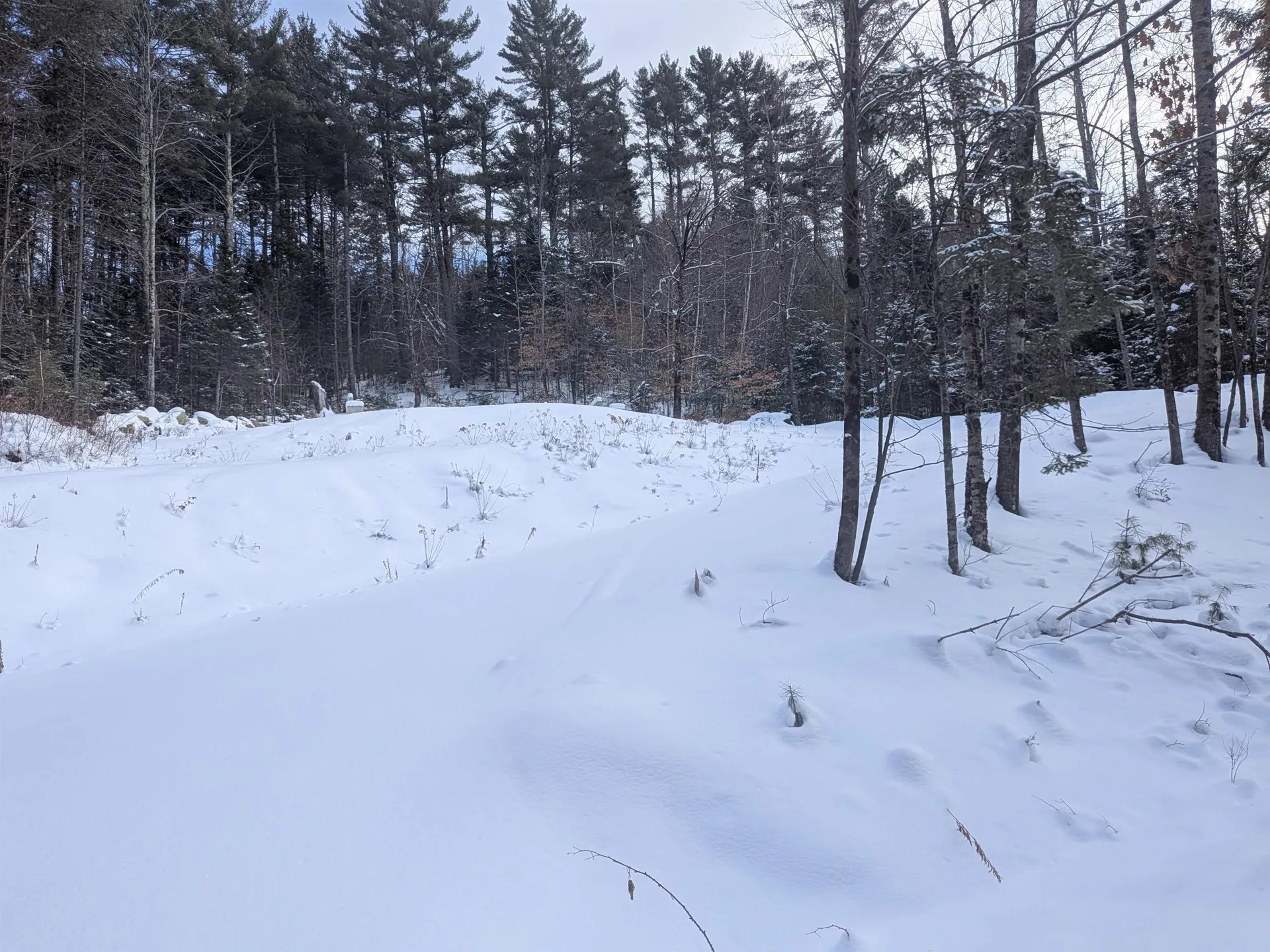 111 Swiftwater Circle Haverhill NH 03765-4413