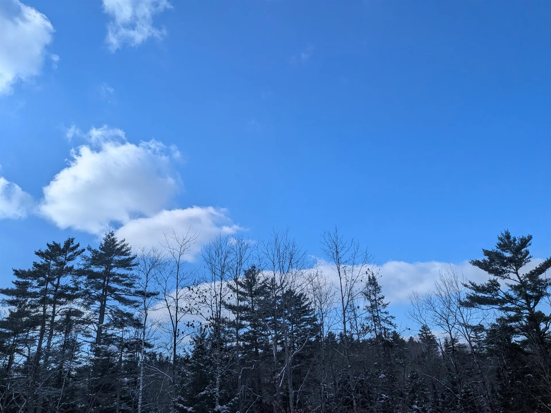 111 Swiftwater Circle Haverhill NH 03765-4413