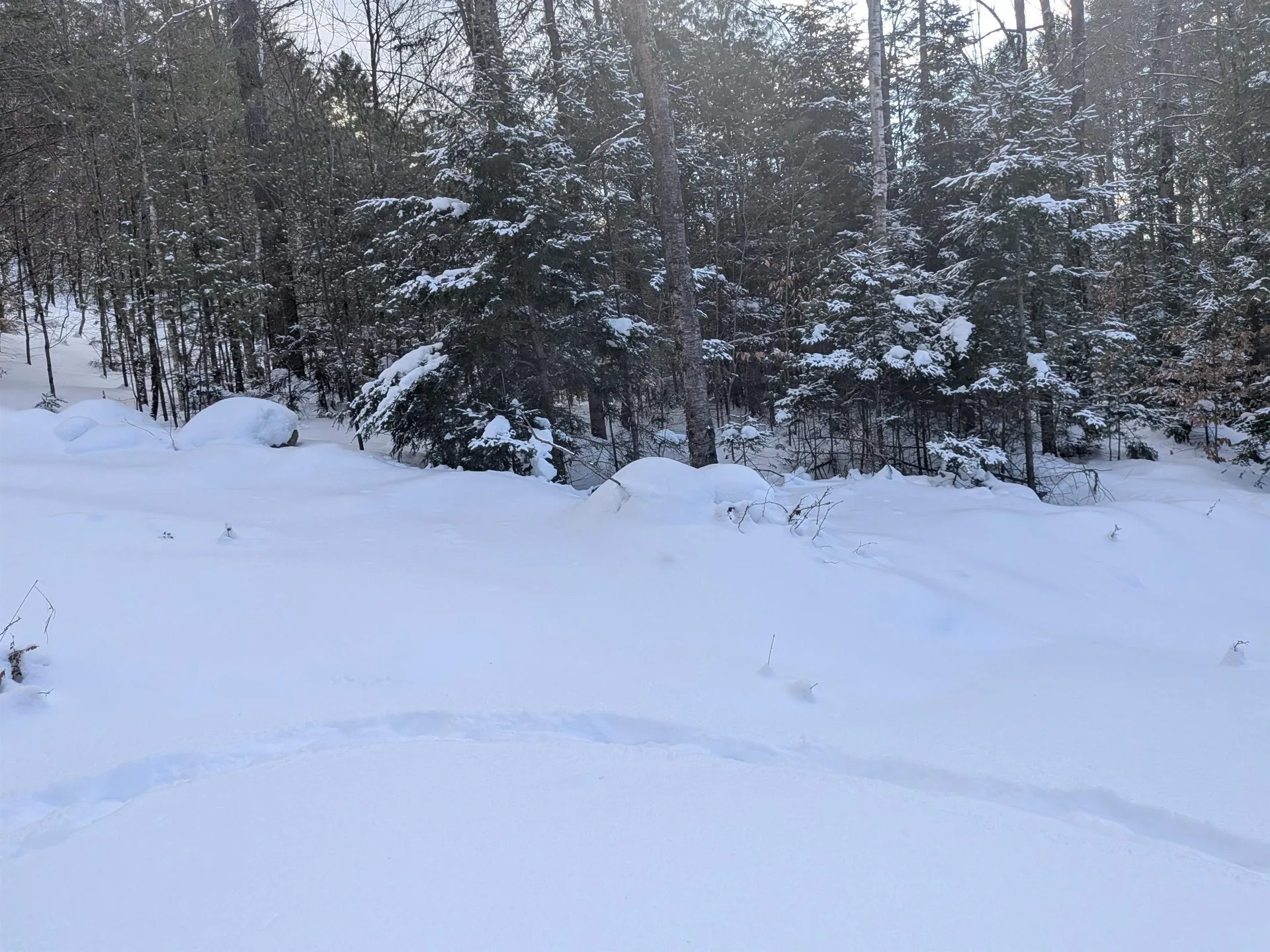 111 Swiftwater Circle Haverhill NH 03765-4413