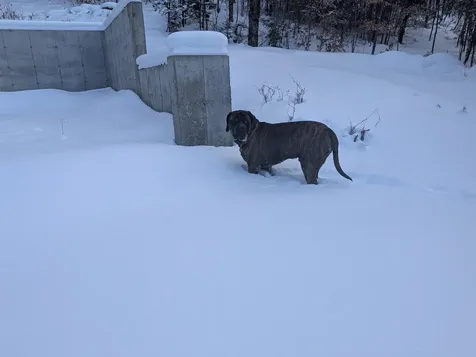 111 Swiftwater Circle Haverhill NH 03765-4413