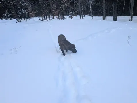 111 Swiftwater Circle Haverhill NH 03765-4413