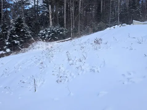 111 Swiftwater Circle Haverhill NH 03765-4413