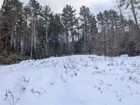 111 Swiftwater Circle Haverhill NH 03765-4413