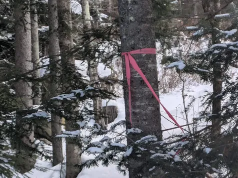 111 Swiftwater Circle Haverhill NH 03765-4413