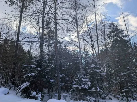 111 Swiftwater Circle Haverhill NH 03765-4413