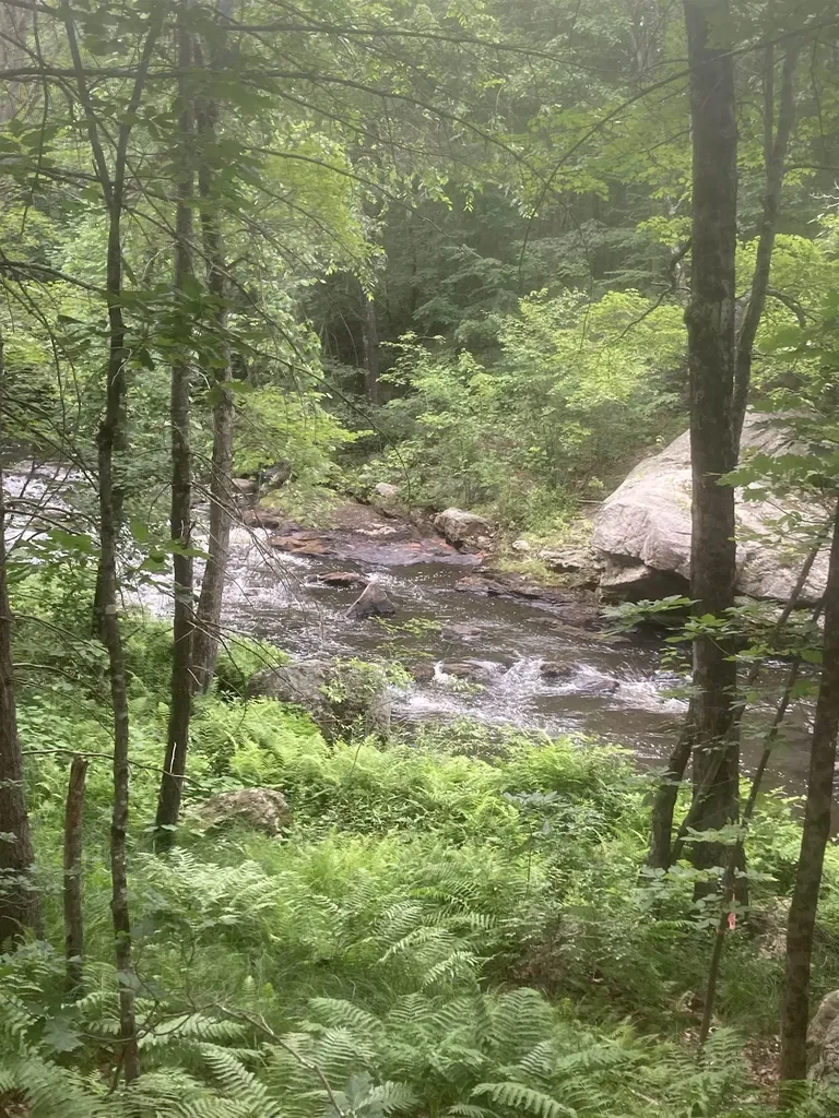 13 Birdie Grove Rochester NH 03839