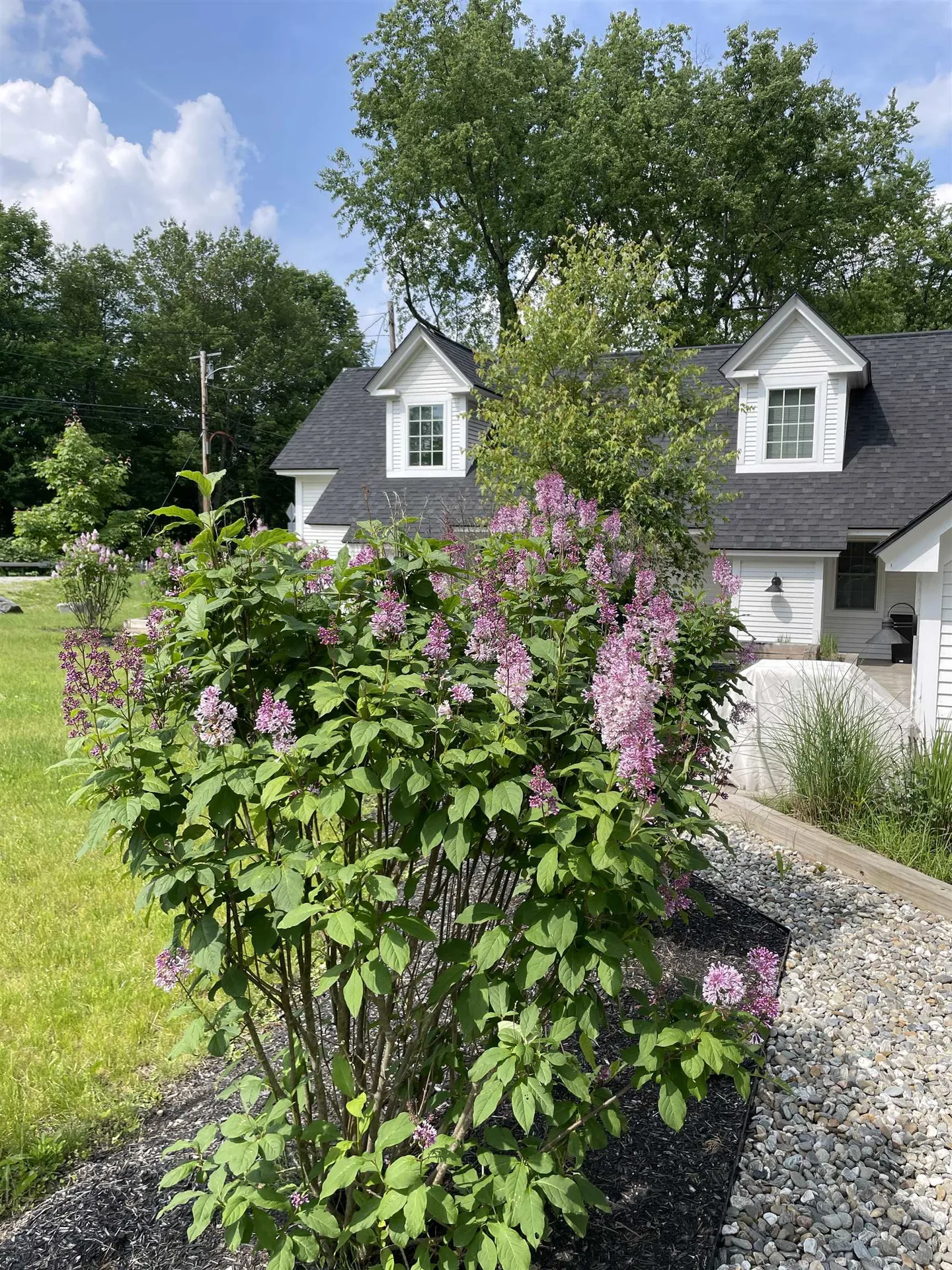 1457 Mountain Road Stowe VT 05672