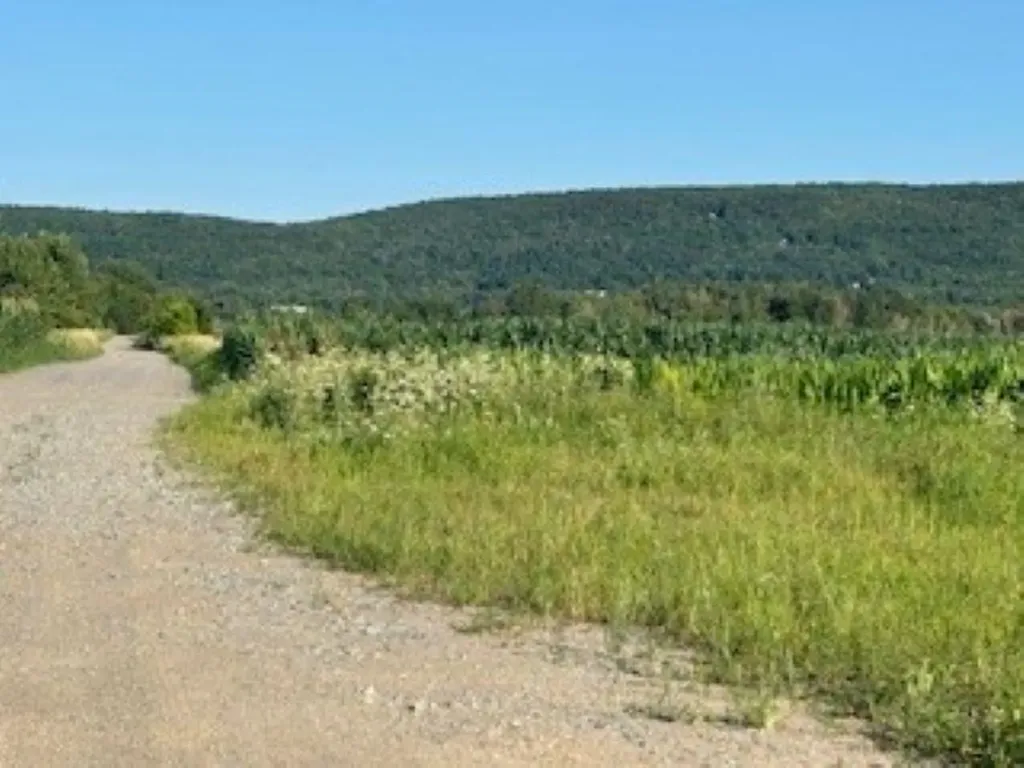 2621 Highgate Road Swanton VT 05488