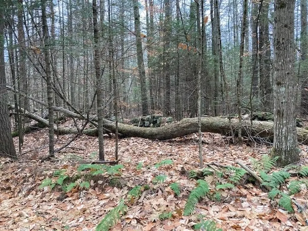 Blueberry Woods Drive Canaan NH 03741