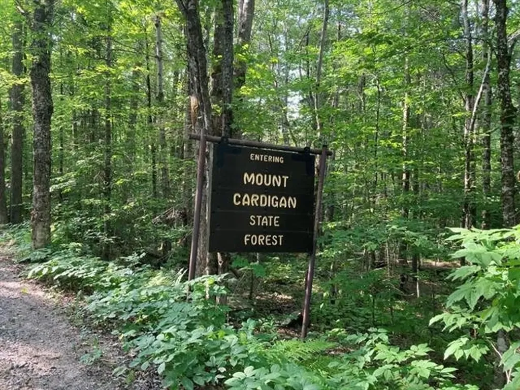 Blueberry Woods Drive Canaan NH 03741