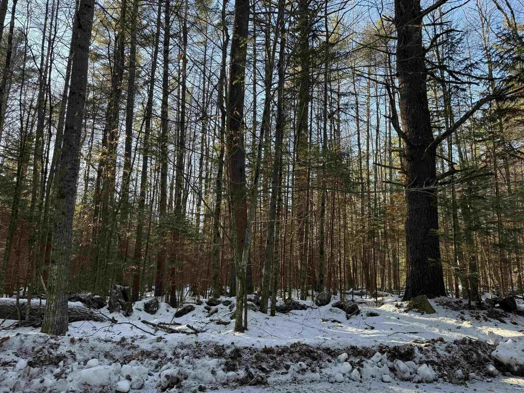 Blueberry Woods Drive Canaan NH 03741